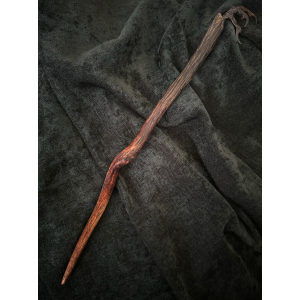 Willow wand with crow’s paw